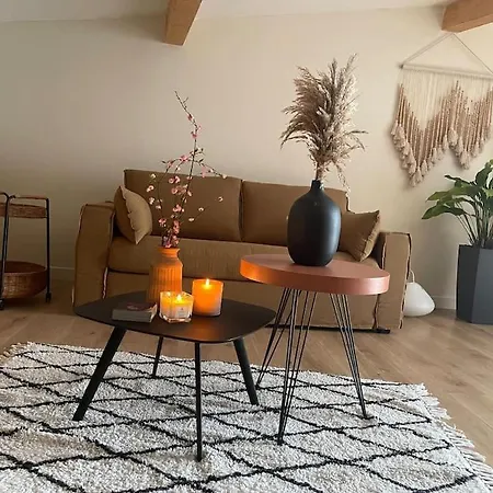 Studio Cosy * Castanet-Tolosan